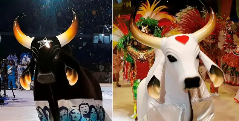 Arena Planeta Boi: a grande avant premiere do Festival de Parintins na Arena da Amazônia
