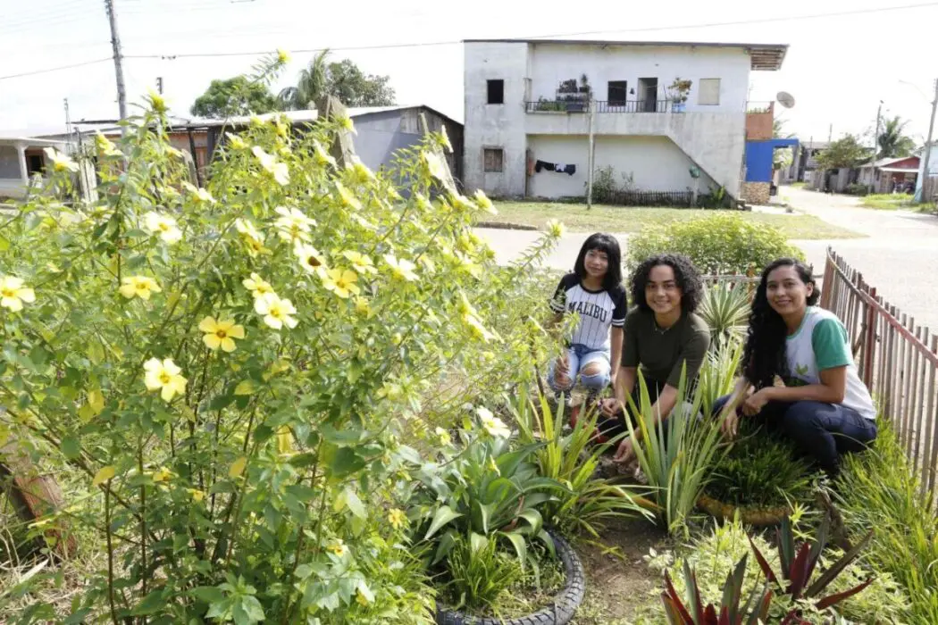 Professora da rede estadual utiliza educação ambiental e transforma lixeira viciada em jardim
