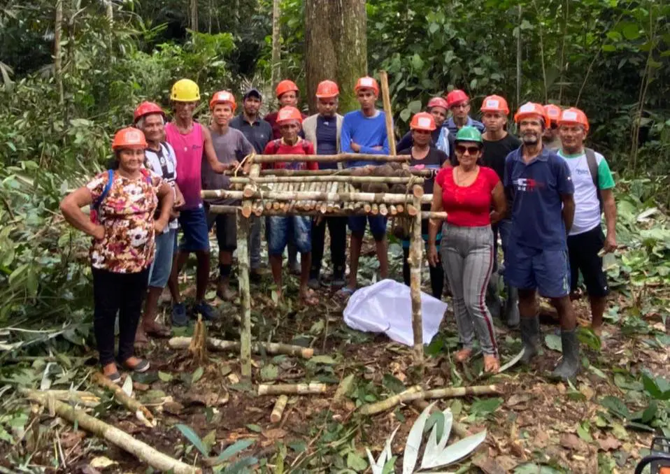 Cursos incentivam boas práticas no manejo do açaí nativo e da castanha-do-Brasil em Manicoré