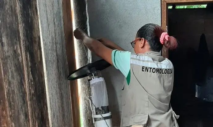 Saúde investiga caso de Leishmaniose Visceral Canina, em Nhamundá
