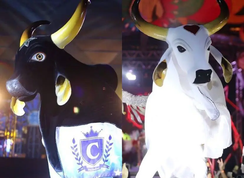 Arena Planeta Boi: se consagra e entra oficialmente no calendário das galeras dos bumbás de Parintins