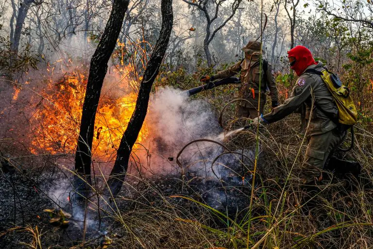 Degradação provocada por humanos afetou 38% da Amazônia, aponta estudo