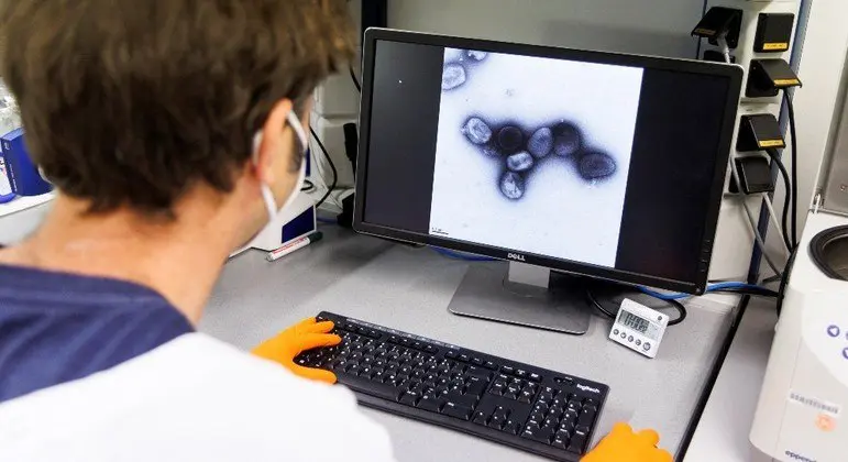Cientistas descobrem 47 mutações no vírus da varíola do macaco que causa surto atual da doença