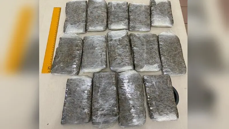 PF apreende skunk no aeroporto de Tefé (AM)