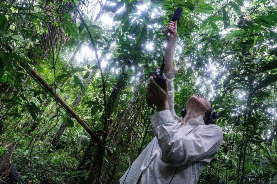 Artistas da Amazônia Legal tem até domingo (17) para fazer inscrição no Labsonora
