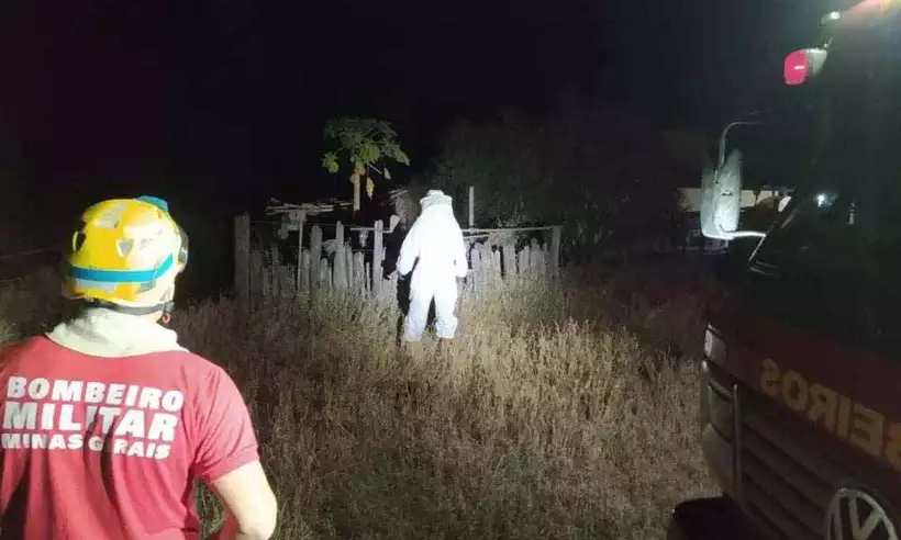 Família sofre ataque de abelhas no Norte de Minas