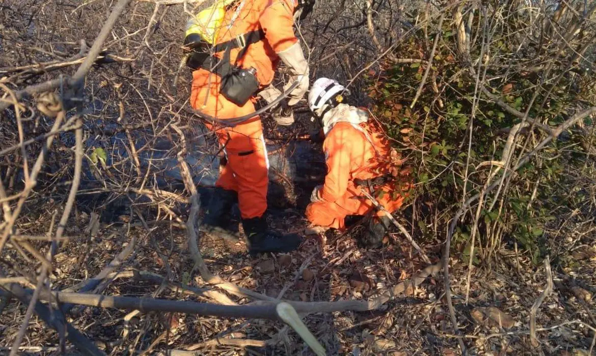 Ministro da Justiça autoriza atuação da Força Nacional no combate a incêndios florestais no Amazonas