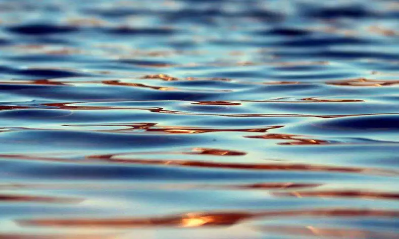 Homem nada em lago e morre após contrair ameba comedora de cérebro