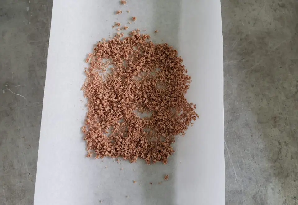 Pesquisa desenvolve fitoterápico à base de fruto amazônico para combater danos causados por veneno de cobra