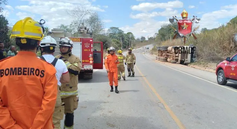 carreta atropela e mata 21 cabeças de gado em rodovia do DF
