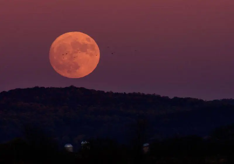 Tem superlua esta semana! Maior e mais brilhante, será a última do ano