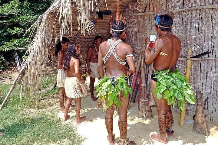 Censo 2022 mapeou 8,5 mil localidades indígenas em todo o país