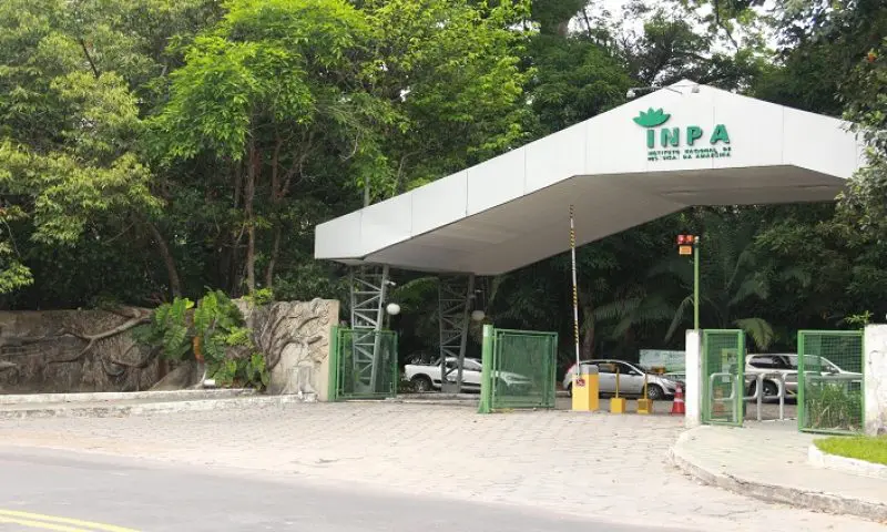 Inpa oferece 15 vagas distribuídas nos cursos de Mestrado e Doutorado em Ciências de Florestas Tropicais