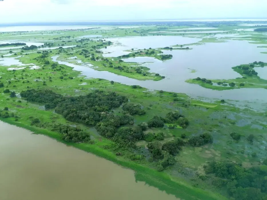 Após vitória de Lula, Noruega anuncia volta do investimento ao Fundo da Amazônia