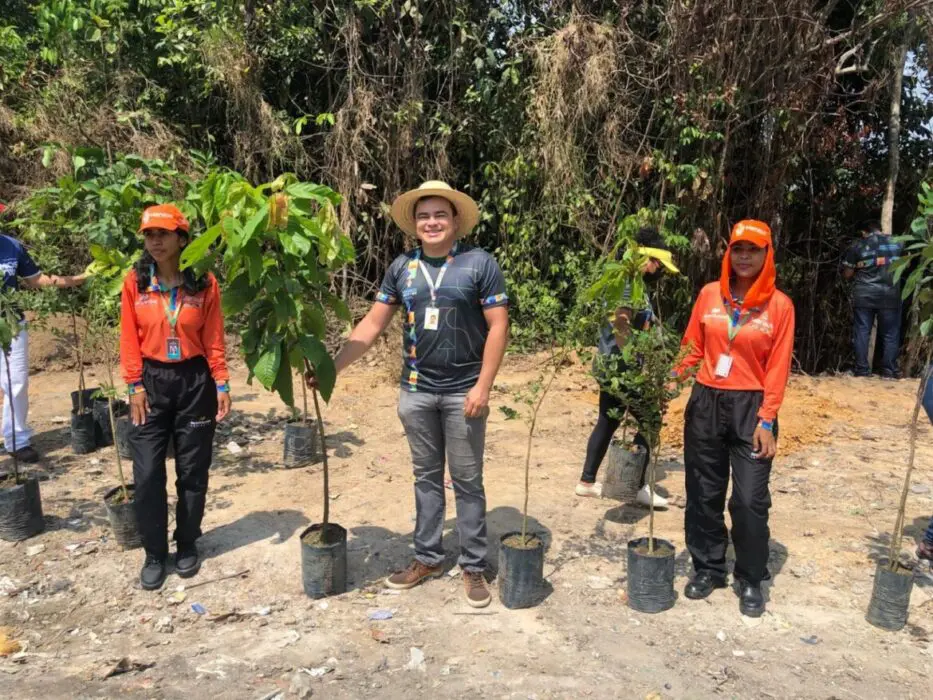 Prefeitura de Manaus anuncia planejamento de ações de arborização para 2025