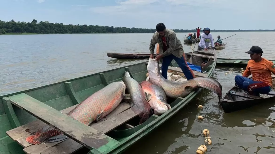 Período de defeso com proibição de pesca para oito espécies começa nesta terça (15)