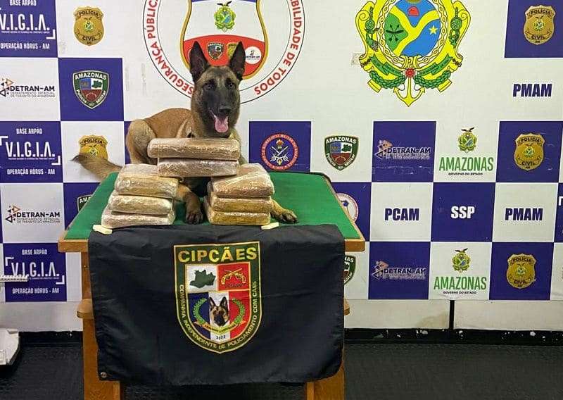 CERCA DE OITO QUILOS DE MACONHA SÃO APREENDIDOS EM EMBARCAÇÃO