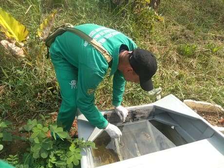 Saúde lança novo informe semanal com cenário da dengue no Amazonas, nesta quinta-feira (29)