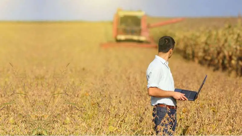 Lavoro Group Avança no Mercado Brasileiro de Sementes