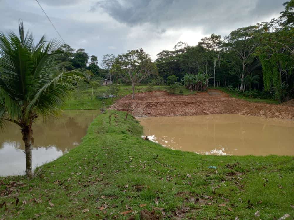 Equipe do Idam realiza visita técnica em fazenda de piscicultura, em Benjamin Constant