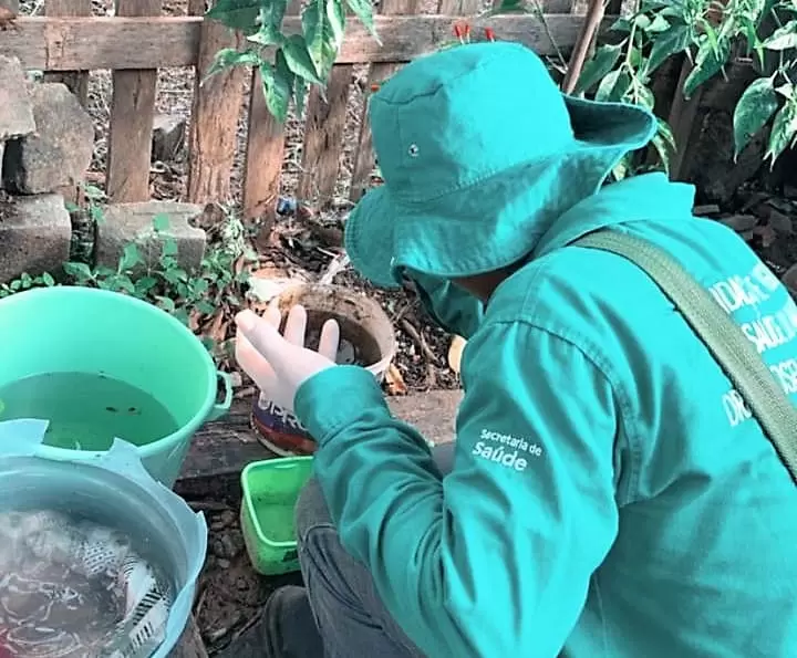 Amazonas registra redução 43,2% nos casos de dengue