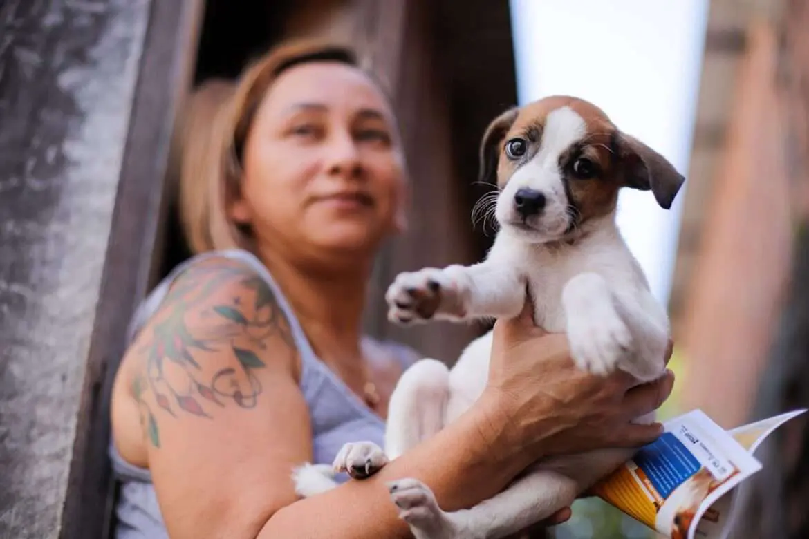 UGPE realiza ação de sensibilização contra maus-tratos e abandono de animais na Comunidade da Sharp