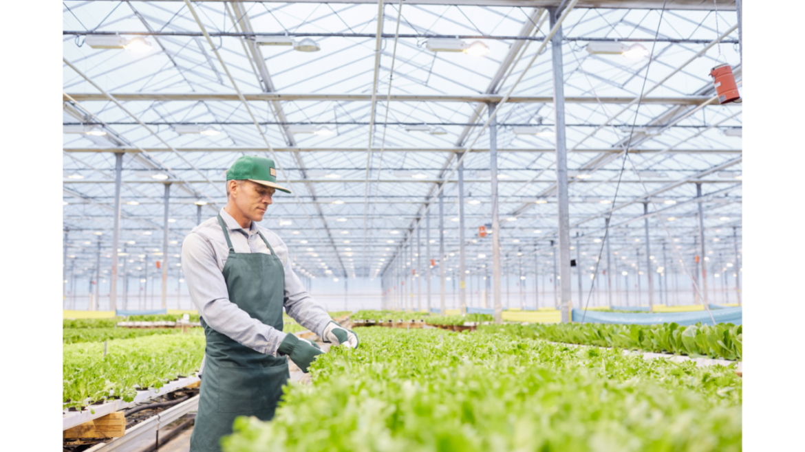 Boas ações praticadas no manuseio e limpeza de frutas e hortaliças