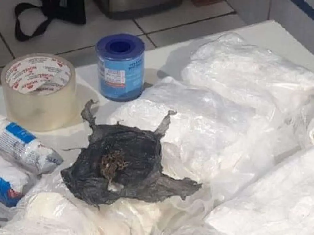 Jovem traficante é presa em hotel antes de levar cocaína de Porto Velho para Brasília