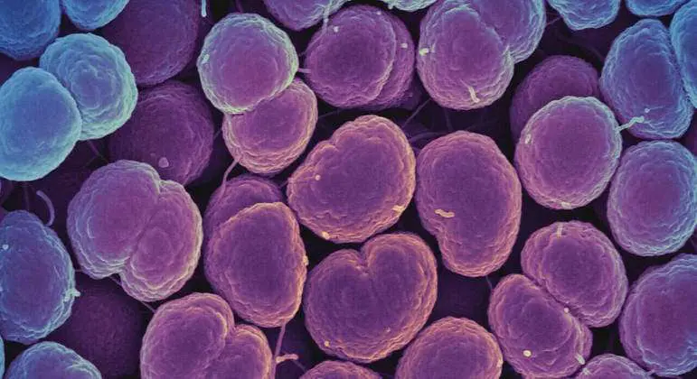 O que se sabe sobre a supergonorreia que coloca os Estados Unidos em alerta