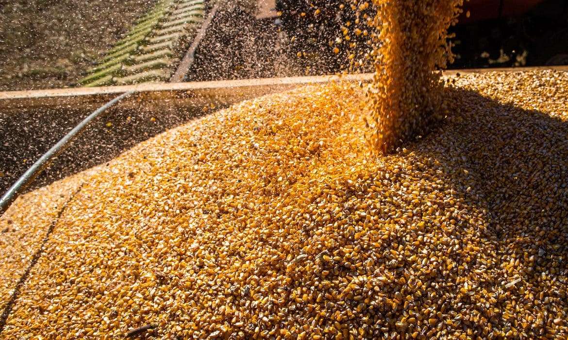 Produtos do agro valorizam 19% no exterior