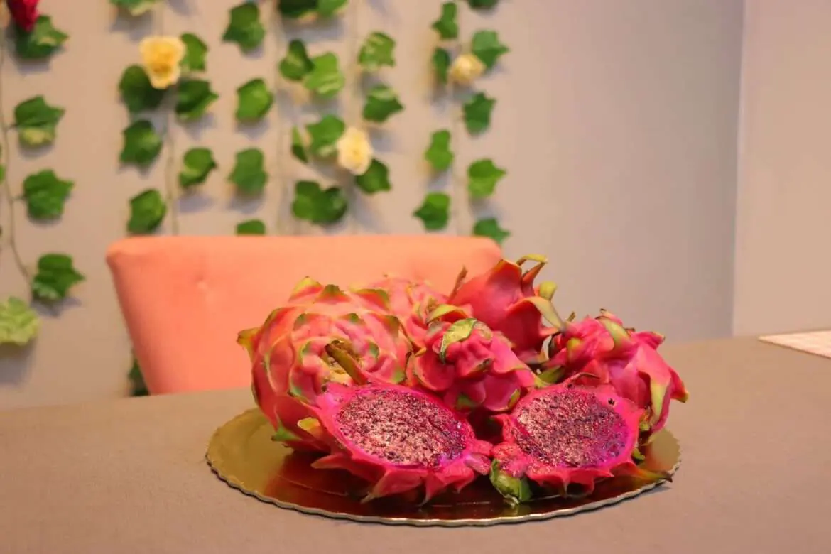 Pitaya ou fruta-do-dragão: fruta que ganha cada vez mais popularidade tem alto valor nutricional, aponta Idam