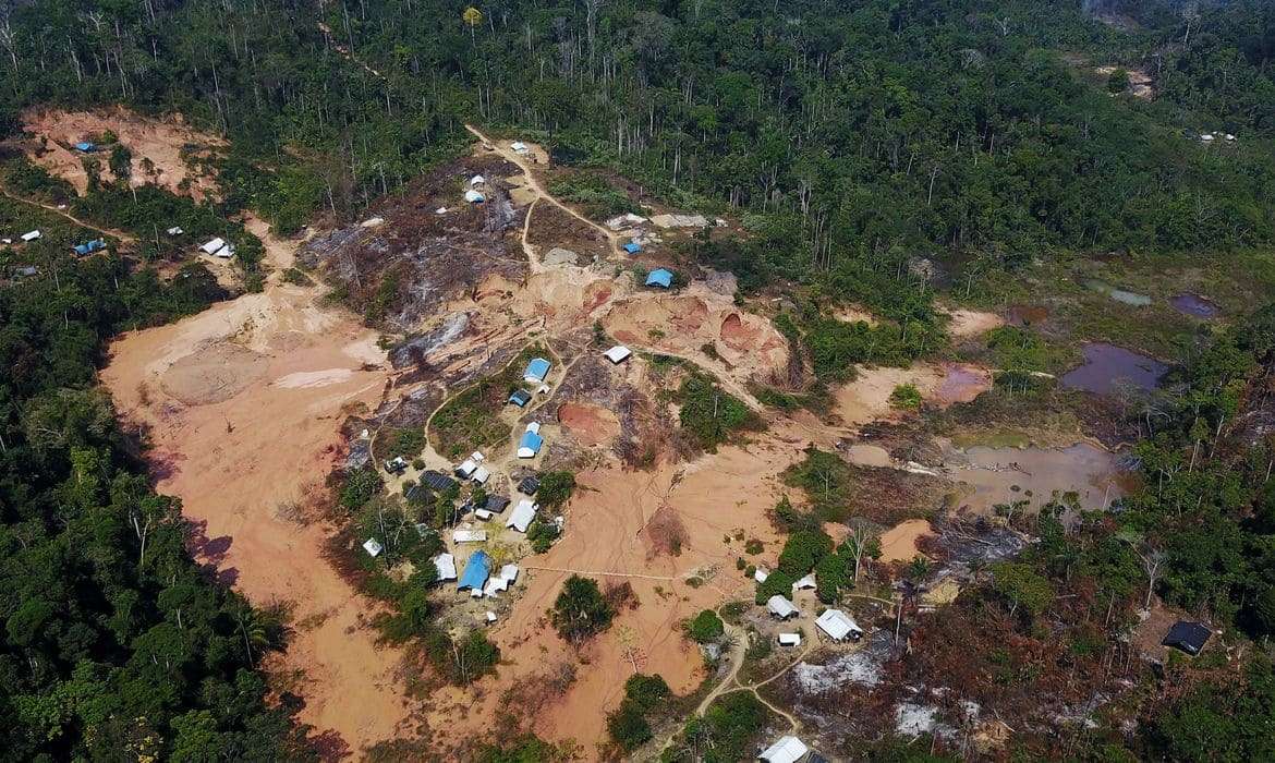Criança yanomami é vítima de estupro coletivo em Boa Vista (RR)