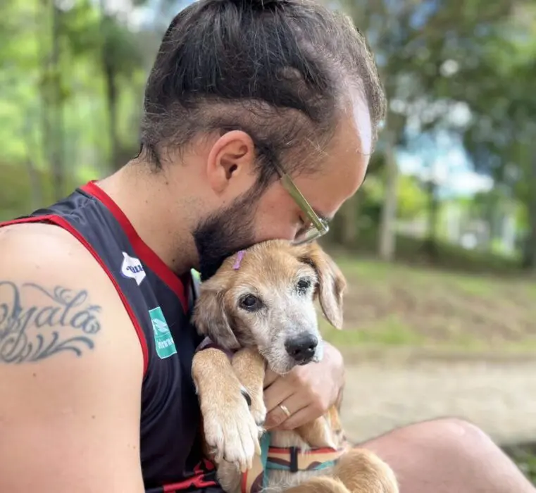 Como as doenças neurodegenerativas afetam os animais?
