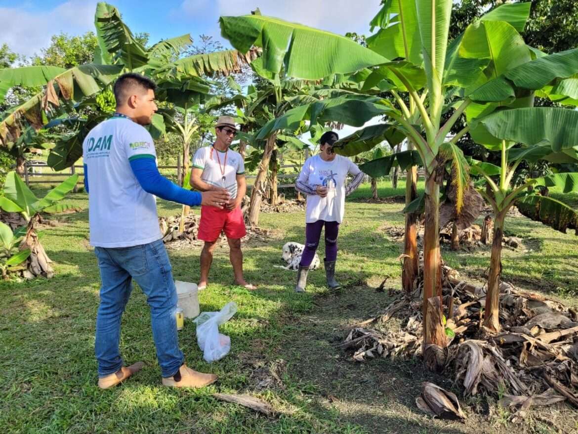 Em Barreirinha, Idam visita comunidades e promove assistência técnica e extensão rural