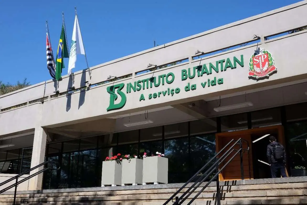 Butantan avança no desenvolvimento de vacina contra gripe aviária e inicia fase de testes em humanos