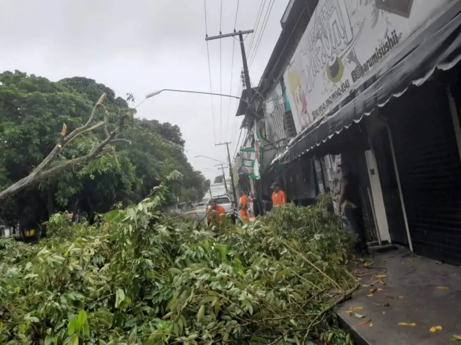 Casa são arrastadas pela correnteza em comunidade
