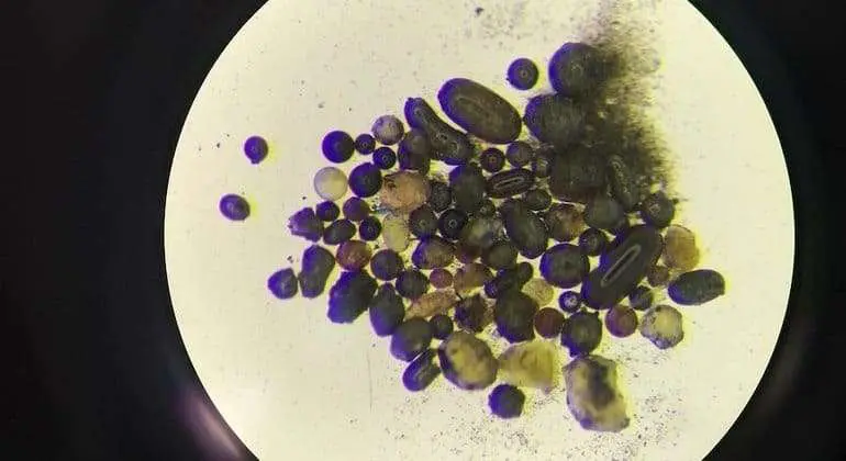 Cientistas descobrem nova fonte de água em esferas de vidro na Lua