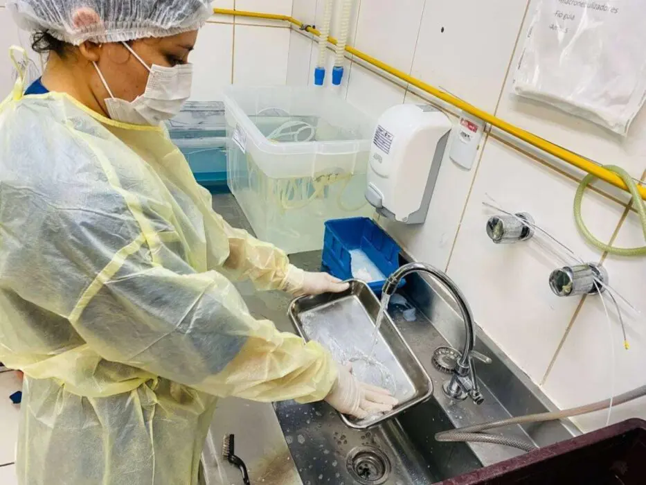 Dia Mundial da Saúde: Hospitais públicos mais modernos de Manaus utilizam a mesma água que chega diariamente nas torneiras da população