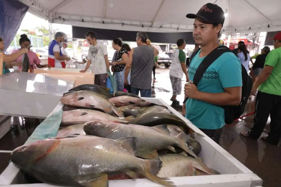 Feirão do Pescado: Comercialização segue alta pela procura de peixes por conta da Semana Santa