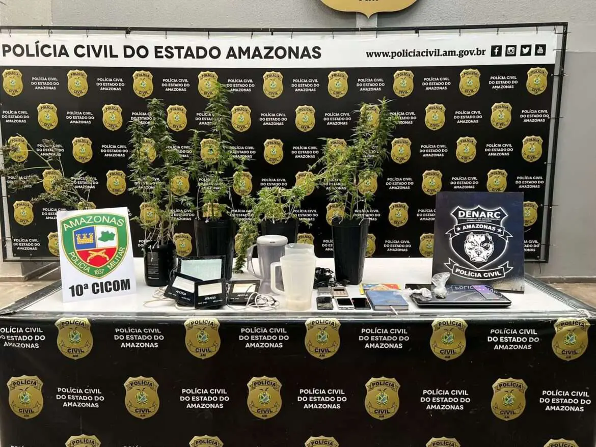 Homem cultivava pés de maconha em sua casa, no Alvorada