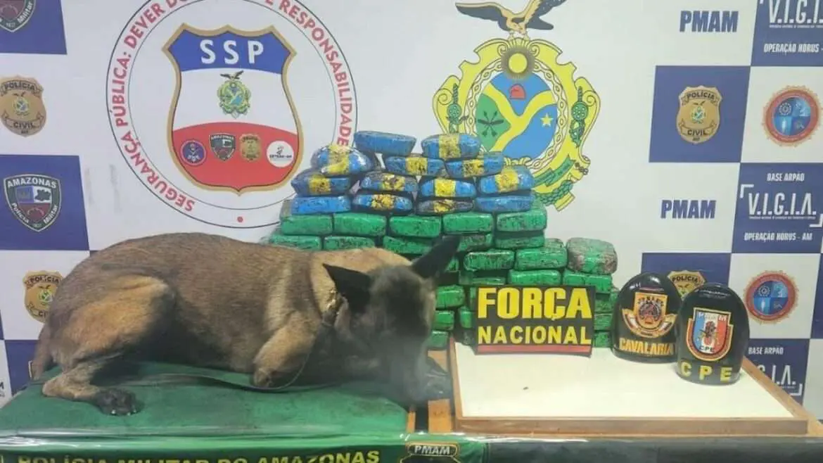 Agentes da base arpão apreendem 67kg de drogas durante abordagem a embarcação