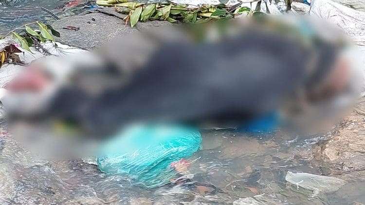 Morador acionam polícia após corpo aparecer boi nado em igarapé de Manaus