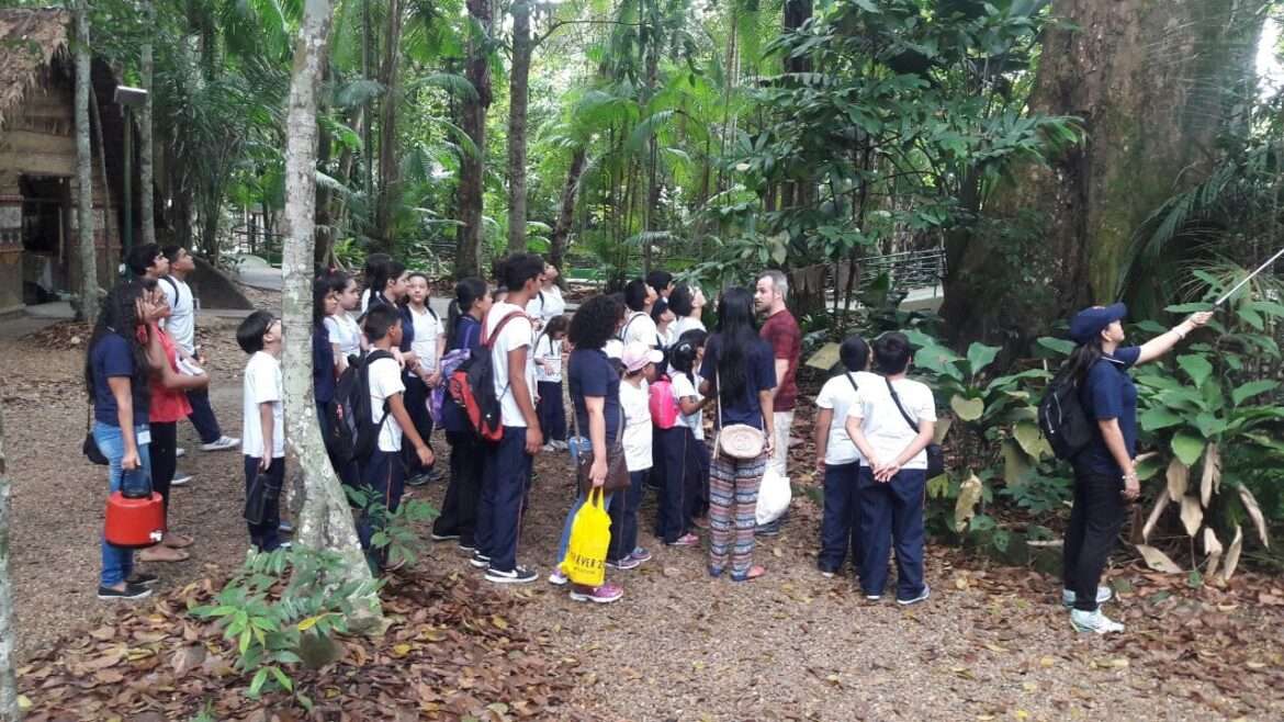 Inpa realiza programação especial para comemorar 28 anos do Bosque da Ciência