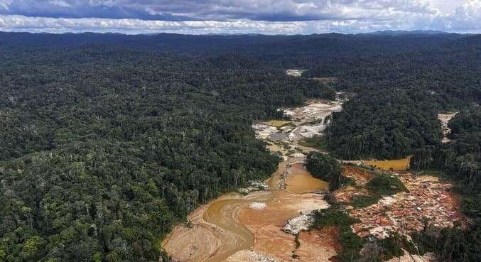 Desmatamento na Amazônia tem queda de 21,8% e no Pantanal, de 9,2%