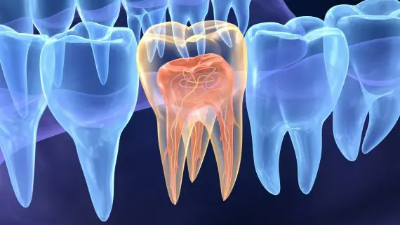 Endodontia ganha espaço na saúde pública nacional
