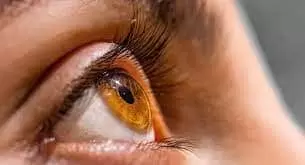 Jovens matam mulher para vender os seus olhos por cerca de 450 reais