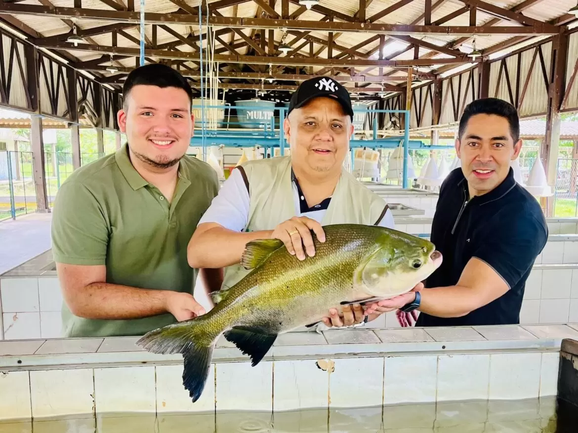 Sepror destaca avanços na reprodução de peixes nativos na estação de Balbina, em Presidente Figueiredo