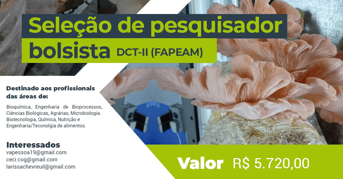Inpa seleciona pesquisador bolsista para atuação em pesquisas com cogumelos