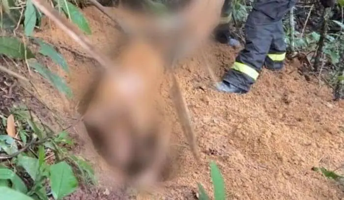 Corpo é encontrado em cova rasa com pés e mãos amarrados; veja vídeos
