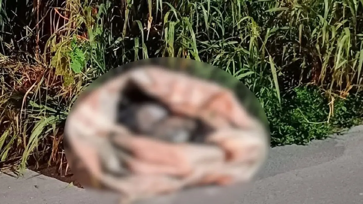 Corpo esquartejado e ensacado é jogado em avenida de Manaus